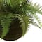 13&#x27;&#x27; Leather Fern in Mossy Hanging Basket, 2ct.